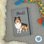 Preview: Designbeispiel der Impfpasshülle grau für die Hunderasse Collie Langhaar dark sable